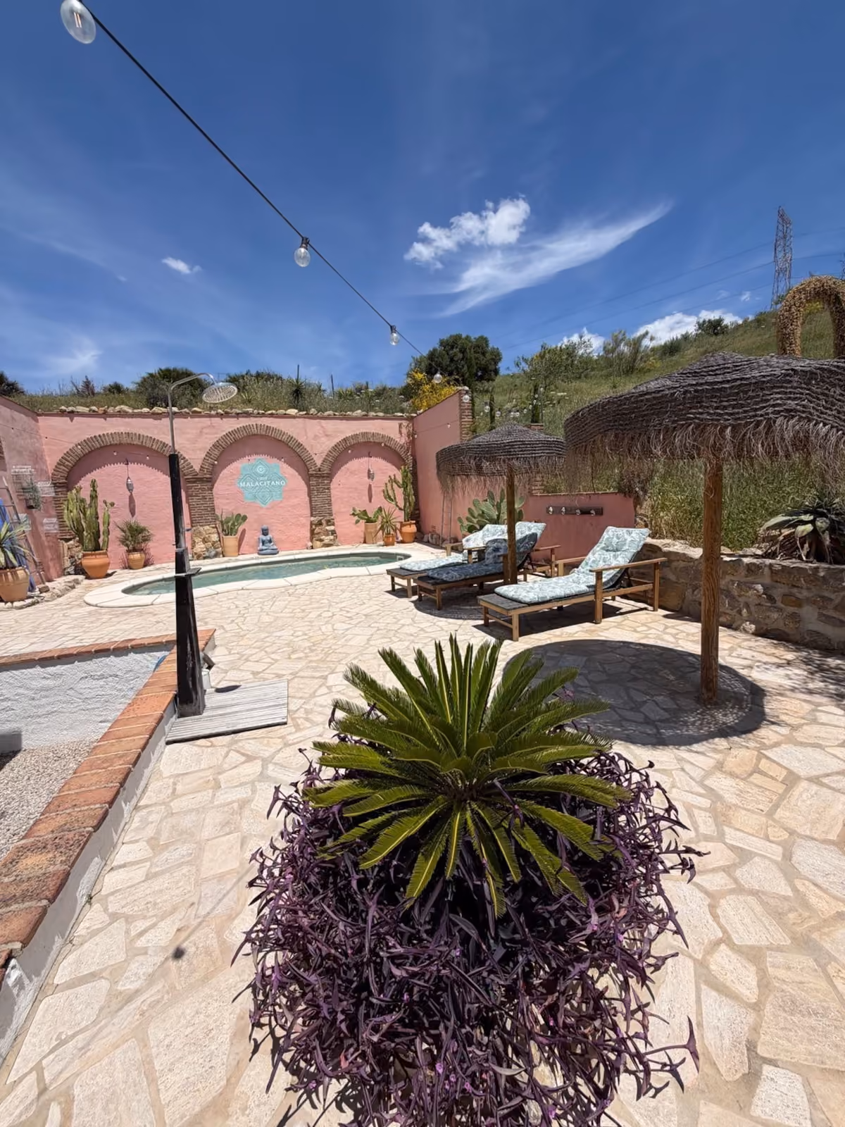 Pool area with loungers and purple plants