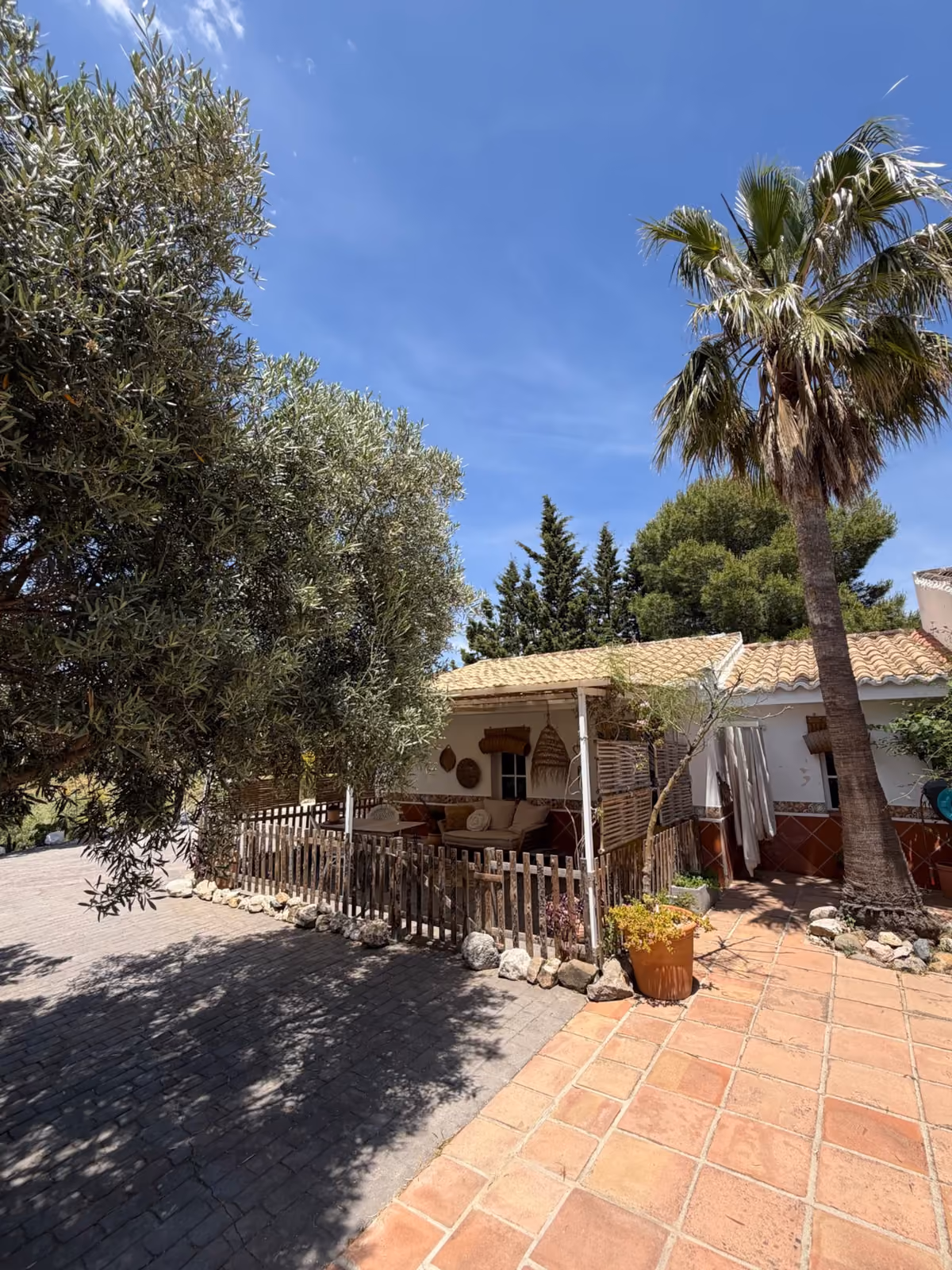 Casa Malacitano exterior with olive tree and palm tree