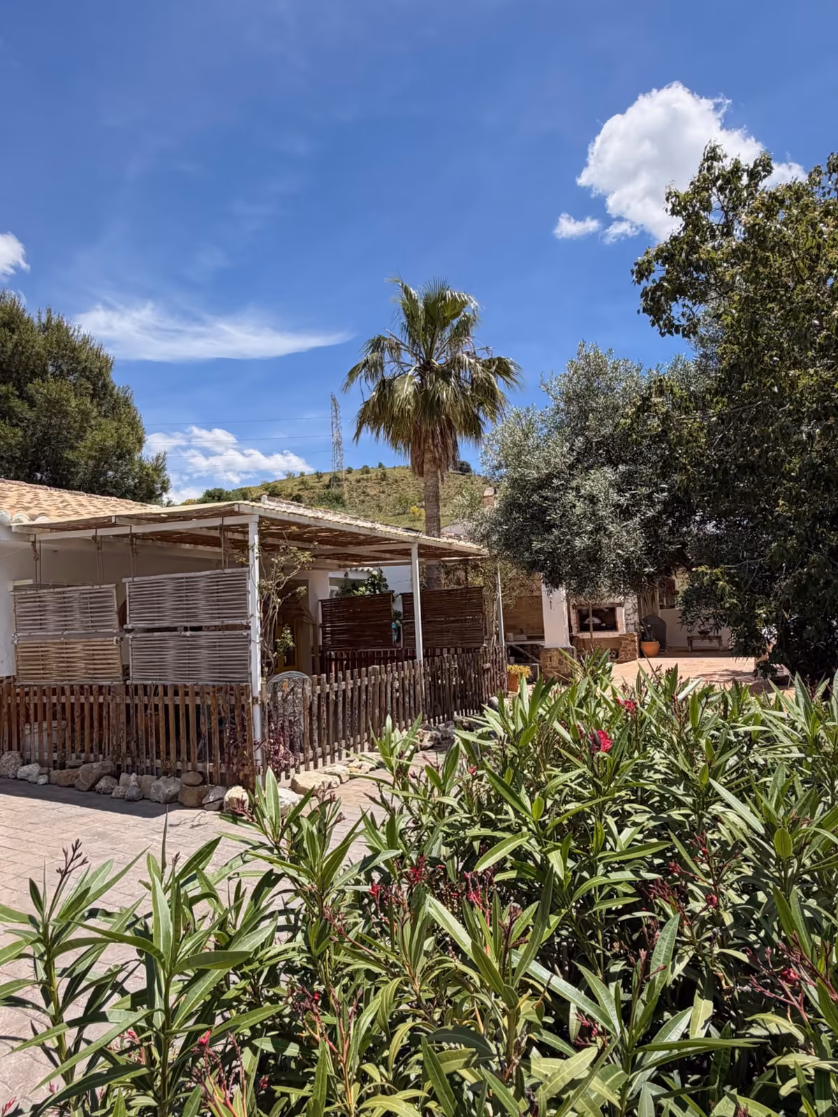 Casa exterior from the garden with oleanders